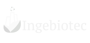 1-Paginaweb-64